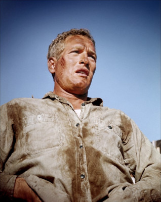Paul Newman pic #363991