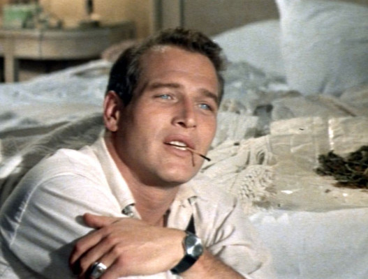 photo 23 in Paul Newman gallery [id252245] 2010-03-25 00:00:00