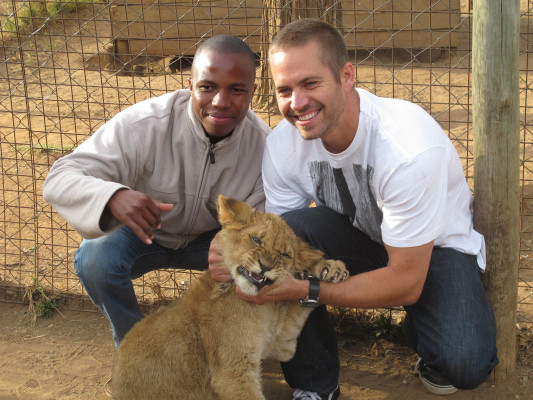 Paul Walker pic #442447