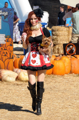 photo 25 in Price gallery [id579411] 2012-11-11 00:00:00