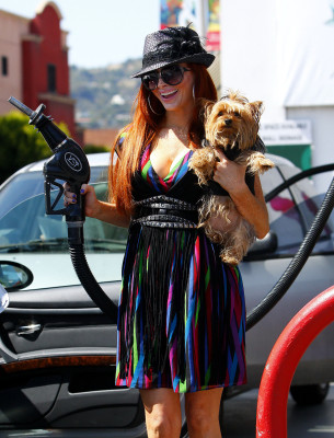 photo 8 in Phoebe gallery [id264349] 2010-05-17 00:00:00