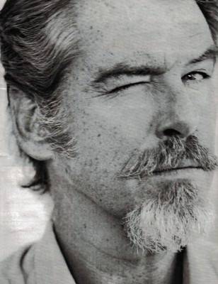 Pierce Brosnan pic #54431
