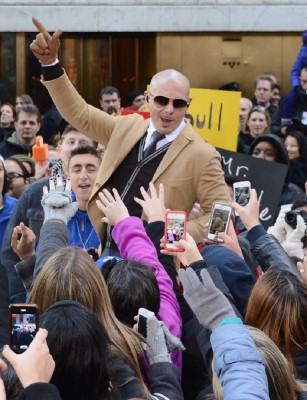 photo 10 in Pitbull gallery [id590507] 2012-12-12 00:00:00