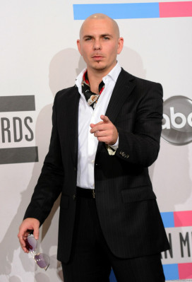 photo 6 in Pitbull gallery [id411338] 2011-08-01 00:00:00