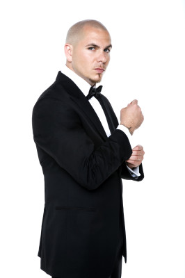 Pitbull pic #411157