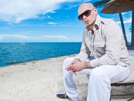 photo 3 in Pitbull gallery [id412628] 2011-08-09 00:00:00