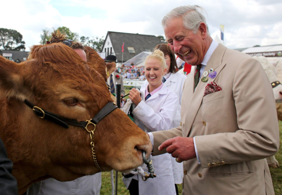 Prince Charles  pic #653986