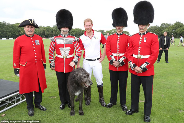 Prince Harry of Wales pic #1197748