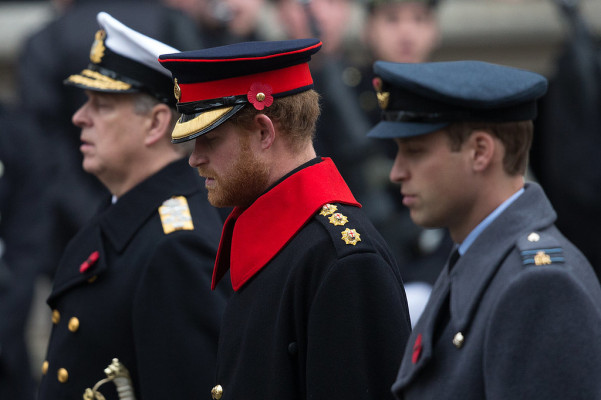 Prince Harry of Wales pic #844904