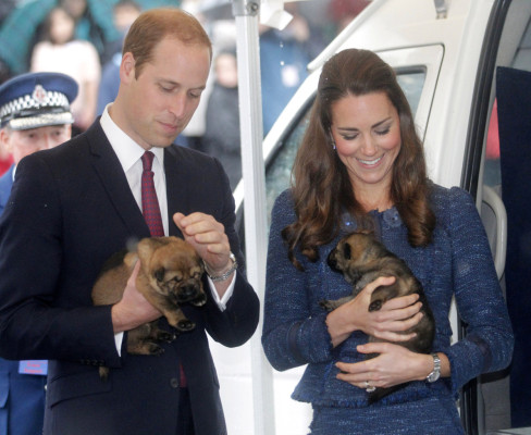 Prince William pic #722099