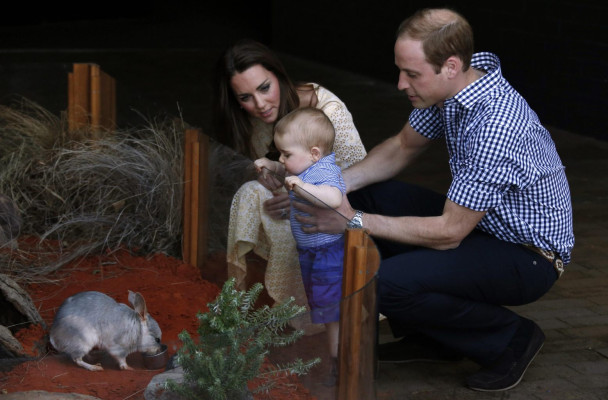 Prince William pic #722754