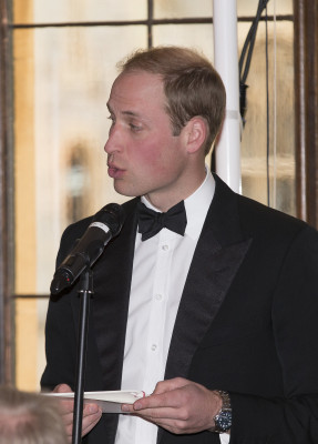 Prince William pic #730963