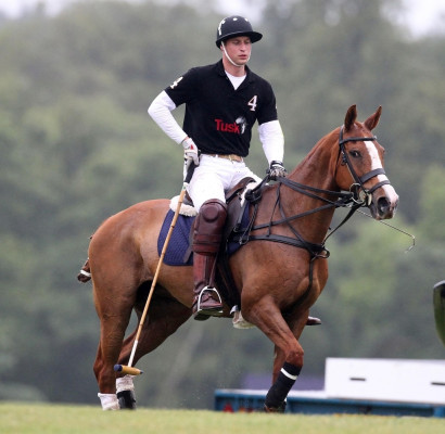 Prince William pic #412680
