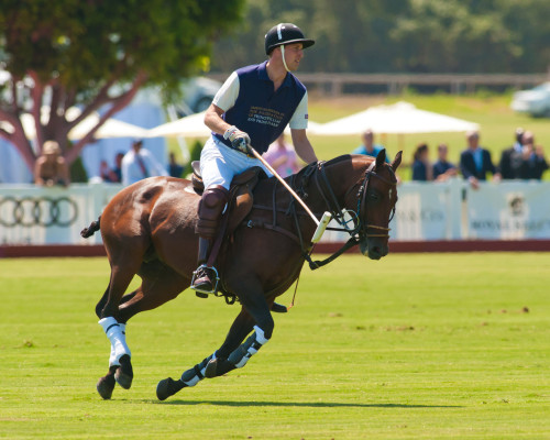 Prince William pic #408137