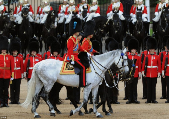 Prince William pic #643997