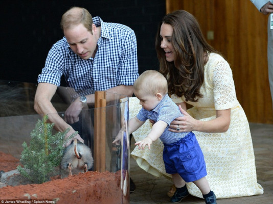 Prince William pic #722755