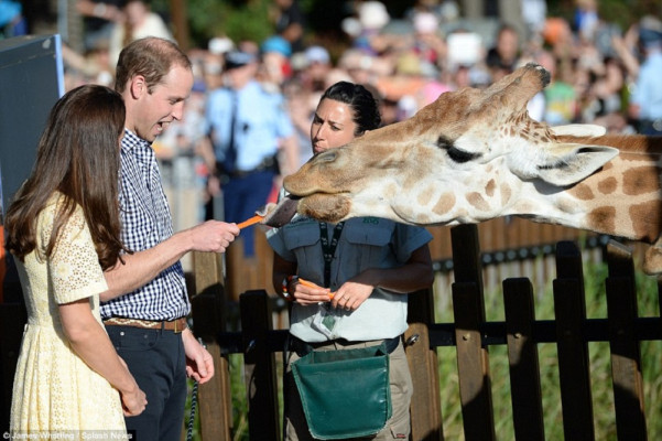 Prince William pic #722752