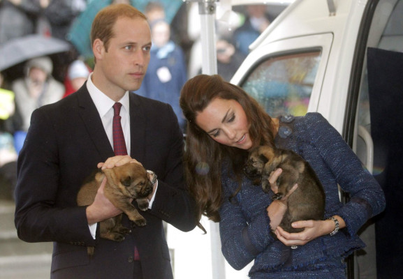 Prince William pic #722090