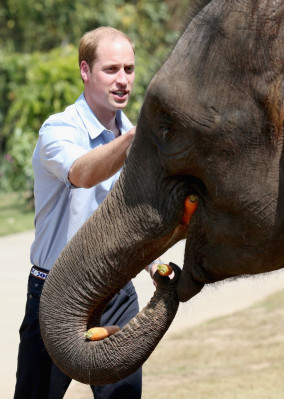 Prince William pic #810772