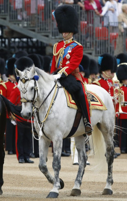 Prince William pic #747050