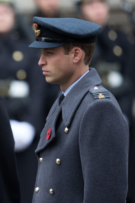 Prince William pic #844916