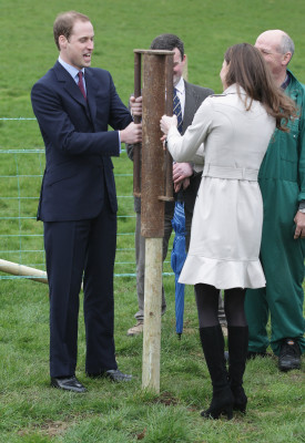 Prince William pic #580827