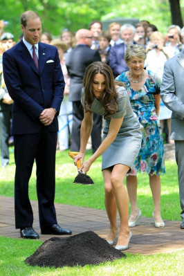 Prince William pic #408394
