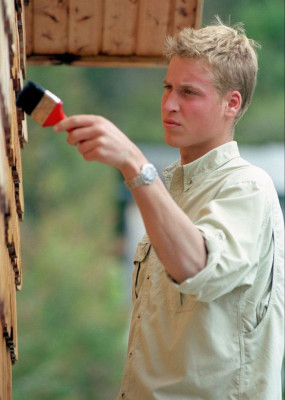 Prince William pic #580829