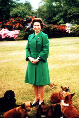 Queen Elizabeth ll  pic #598713