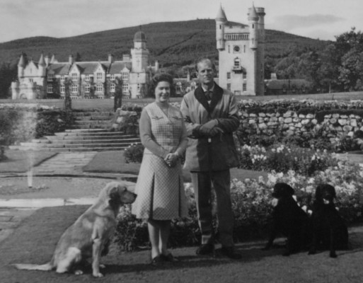 Queen Elizabeth ll  pic #519021