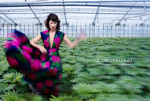 Модель Querelle Jansen