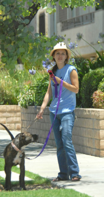 Rachel Bilson pic #160804