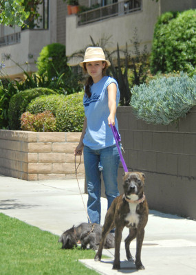 Rachel Bilson pic #160805