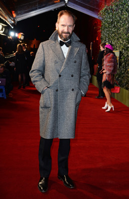Ralph Fiennes pic #851545