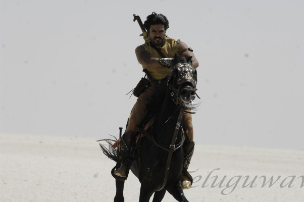 photo 24 in Ram Charan Teja gallery [id512497] 2012-05-16 00:00:00