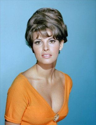 Raquel Welch pic #379213