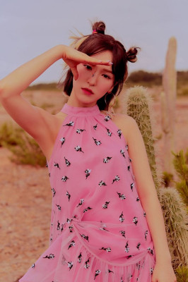 Red Velvet – The ReVe Festival Day 2 Teaser Photos 2019