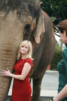 Reese Witherspoon pic #385082