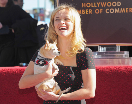 Reese Witherspoon pic #320758