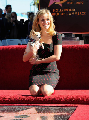 Reese Witherspoon pic #320756