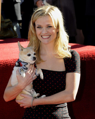Reese Witherspoon pic #321346