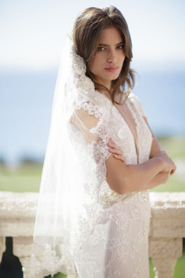 Renata Sozzi for David&#039;s Bridal