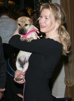 Renee Zellweger pic #1019082
