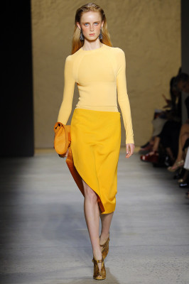 Rianne Van Rompaey - Narciso Rodriguez Spring/Summer 2017 Fashion Show in NYC