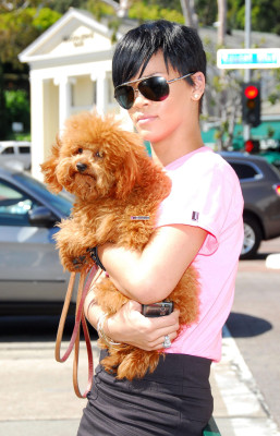 Rihanna pic #109929