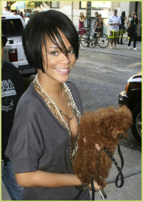 photo 12 in Rihanna gallery [id137135] 2009-02-24 00:00:00