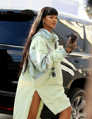 photo 23 in Rihanna gallery [id957194] 2017-04-20 00:00:00