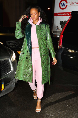 Rihanna in Green Python Jacket out in New York