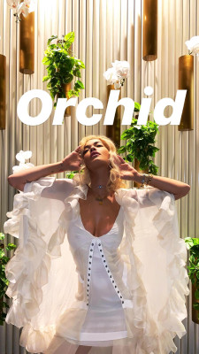 Rita Ora - Rita Birthday in Sydney 11/26/2018