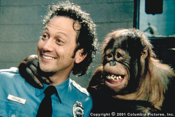 photo 7 in Rob Schneider gallery [id209783] 2009-11-19 00:00:00